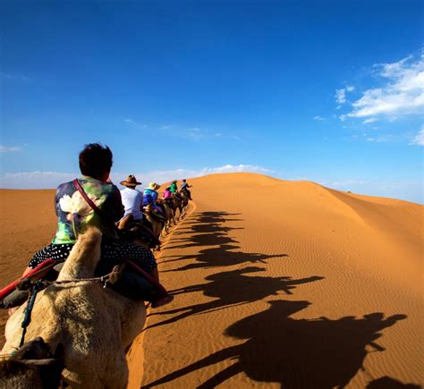 走进《爸爸去哪儿》取景地宁夏沙坡头沙漠 - 自驾游 - 旅游攻略
