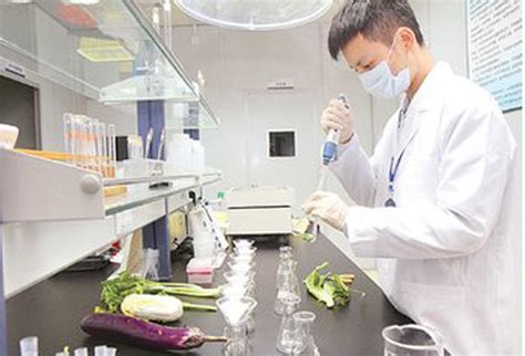 每日快检守护武汉食品安全 蔬果农残检测3分钟出结果 - 武汉市人民政府门户网站