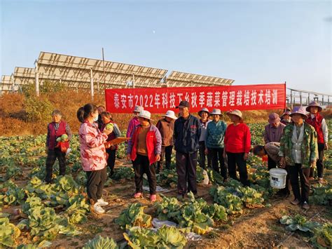 2018-2023年中国蔬菜行业市场运营现状调查与未来发展趋势预测报告_观研报告网