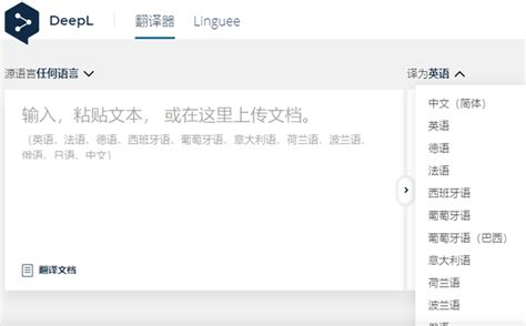 中文翻译成英文转换器有哪些（好用的翻译方法分享）-COD之家