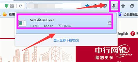 中国银行安全控件官方下载-中国银行网上银行登录安全控件 v5.0官方版下载-Win7系统之家