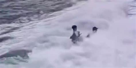 青岛被卷入海中的第二名男子已找到，两位遇难者都刚拿到录取通知书_救援_海浪_男生