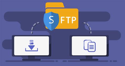 ftp服务器和共享文件夹区别,共享文件和ftp的区别|仙踪小栈