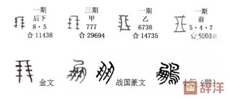 小学语文汉字偏旁部首训练，打印出来给孩子练习_结构