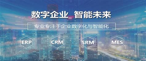 2021年中国数字化采购研究报告_报告-报告厅