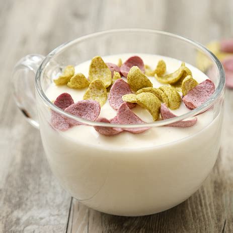 Salud冻酸奶月饼，100%冻酸奶制作，健康+营养+美味+苗条 - salud撒露.欧洲冻酸奶-全球冻酸奶连锁加盟品牌【官网】