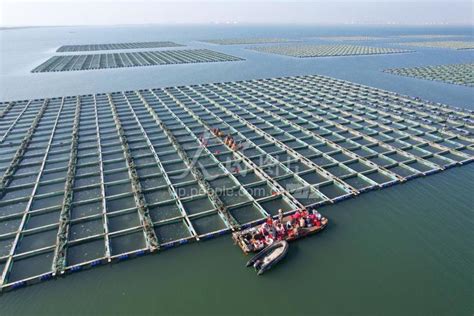 你知道近海养殖吗？中国是第二，第一是一个小国！_水产