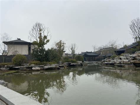 武昌南湖-中关村在线摄影论坛