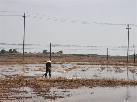 洪水预警！永州、郴州部分河流现3-5米洪水过程_湖南频道_凤凰网