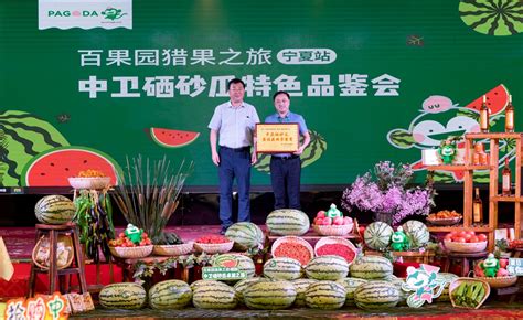 中卫特色农旅产品云上展销节正式开启-宁夏新闻网
