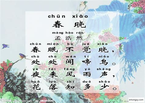 古诗《春晓》水墨意境|动漫|动画片|中国风动画 - 原创作品 - 站酷 (ZCOOL)