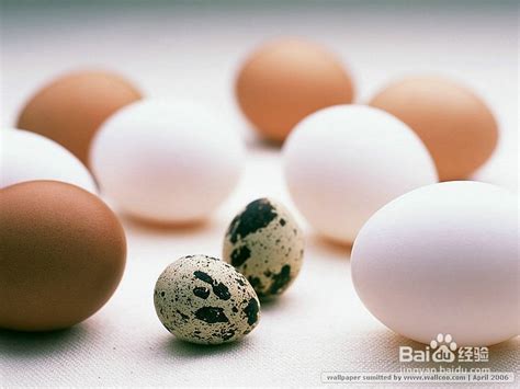 端午吃蛋｜土鸡蛋真的比洋鸡蛋有营养？这份挑蛋吃蛋攻略请收好！_长江云 - 湖北网络广播电视台官方网站
