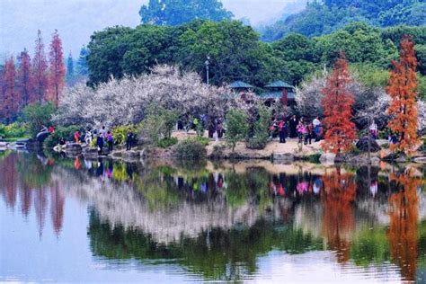 广州春天哪里好玩的景点推荐 广州春季旅游好去处_旅泊网