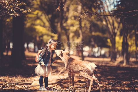 儿童与小鹿高清图片下载-正版图片500411187-摄图网
