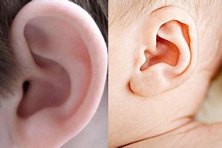 【左耳朵耳鸣怎么办】【图】了解左耳朵耳鸣怎么办 保护听力从小事做起_伊秀健康|yxlady.com