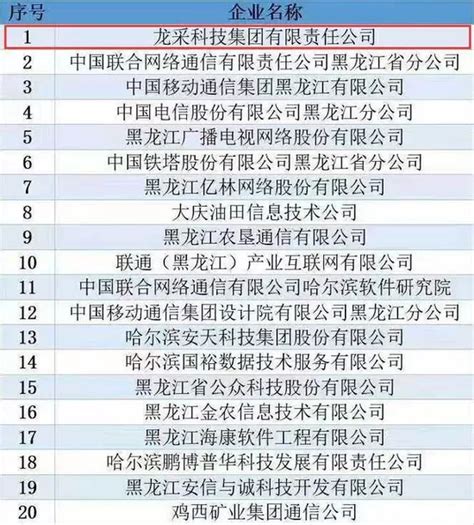 重磅喜讯 龙采科技集团荣登2019年黑龙江省互联网企业20强榜首_手机新浪网