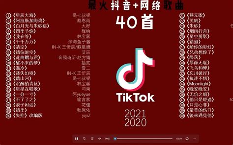 《2021最火网络歌曲集锦》每一首都很好听，车载音乐，值得收藏！ - 影音视频 - 小不点搜索