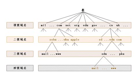 36 张图详解 DNS ：网络世界的导航 - 知乎