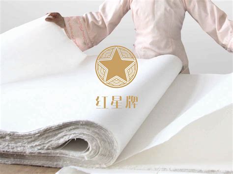 红星宣纸 品牌优化_段先森design-站酷ZCOOL