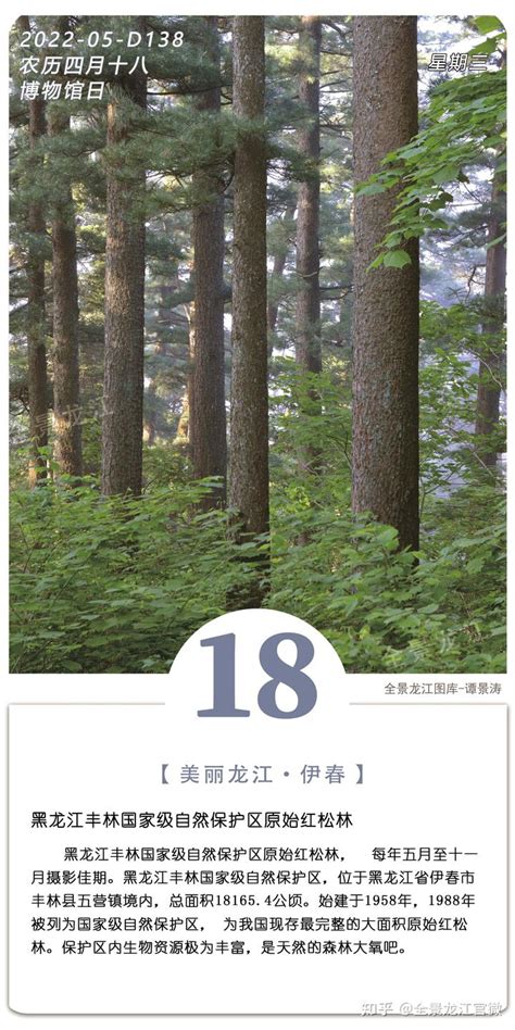2018伊春国际森林马拉松官方网站-赛事新闻
