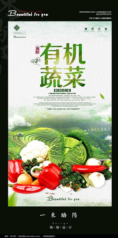简约有机蔬菜宣传海报设计PSD_红动网
