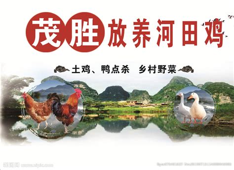农家乐宣传海报_红动网