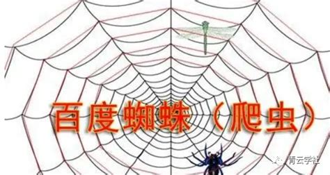 青云学社SEO：网站优化之如何吸引蜘蛛？ - 知乎