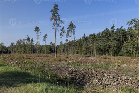 Deforestation for timber harvesting , forest 13627620 Stock Photo at ...