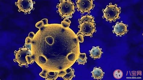 新型冠状病毒 预防与治疗知识---开学第一课课件（30张幻灯片）_21世纪教育网，21教育