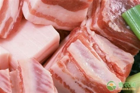 2022国庆猪肉价格多少钱一斤？ - 惠农网