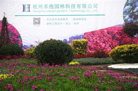 场地介绍 - 杭州富阳山度园林绿化有限公司
