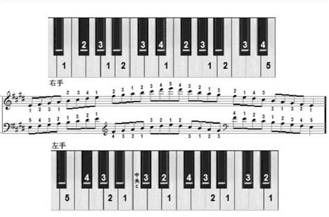 钢琴的26个音符,钢琴音符符号的认识,钢琴琴键对应音符_大山谷图库