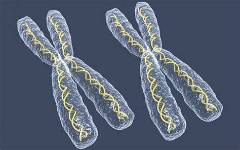 基因突变、基因重组、染色体变异的区别？ - 知乎