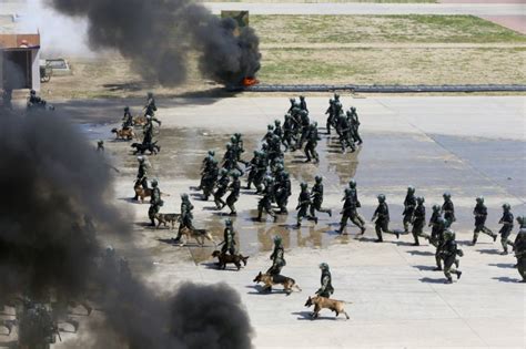 中国10大最厉害的特种部队, 雪豹突击队和猎鹰突击队并列第一