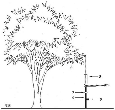 树冠冠幅测量装置及测量方法
