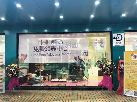 中国首家零盈利纯公益hello阿派连锁动物领养中心三店同步开业！