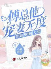 《傅少专宠之宝宝别闹》小说在线阅读-起点中文网
