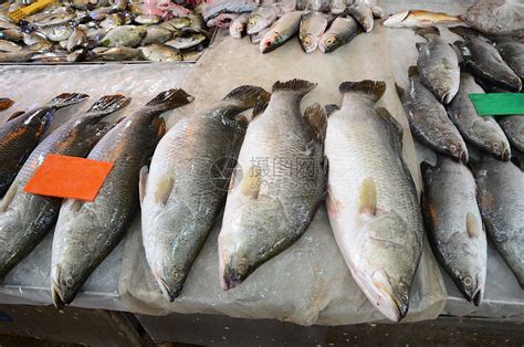 市场上鲜新鲜鱼海产食品品种繁多鲳鱼钓鱼美味柜台低音鲭鱼海鲜美食午餐销售高清图片下载-正版图片321030460-摄图网