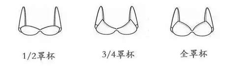 日本大胸女优身材排行：真实诠释了丰满身材标准_知秀网