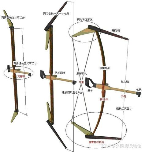 【射箭知识】复合弓和反曲弓结构箭矢的区别！-搜狐体育