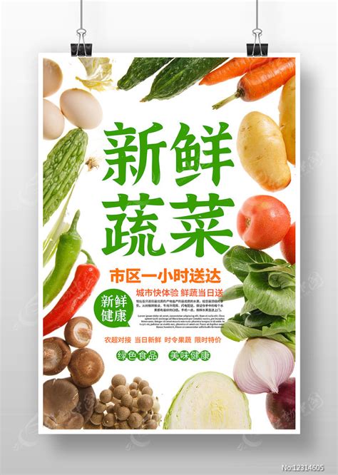 蔬菜配送海报图片__编号12314605_红动中国