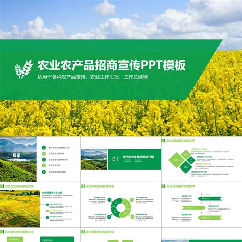 绿色生态农业招商农产品PPT模板免费下载-包图网
