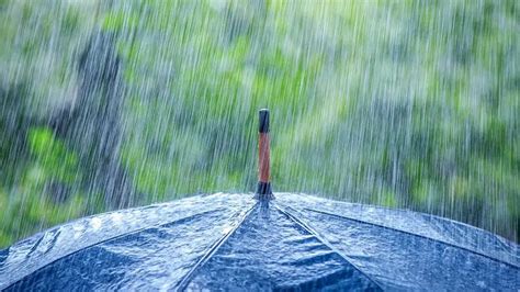 中到大雨、暴雨、大暴雨……陕西新一轮降雨要来了 - 西部网（陕西新闻网）