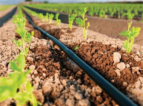 农业灌溉智能化 传统灌溉与现代灌溉的区别 - 计讯物联