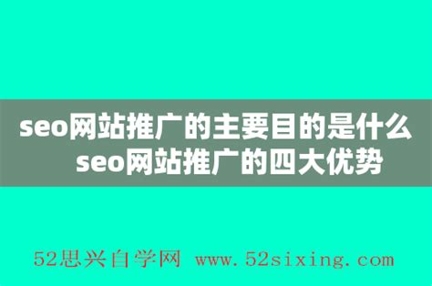 seo网站推广的主要目的是什么 seo网站推广的四大优势 - 52思兴自学网