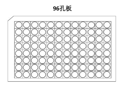 96孔细胞培养板_价格-厂家-供应商_广州洁特生物过滤股份有限公司_丁香通