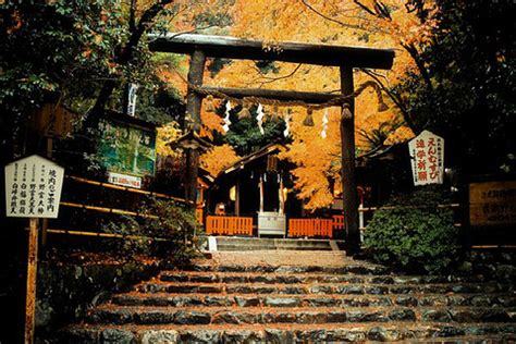 2022岚山-旅游攻略-门票-地址-问答-游记点评，京都旅游旅游景点推荐-去哪儿攻略