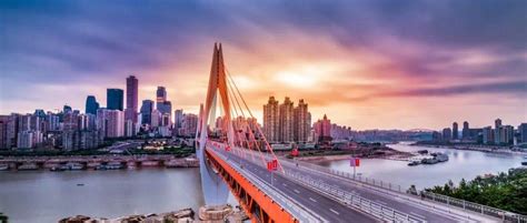 重庆市政府印发关于《重庆市进一步支持市场主体发展推动经济企稳恢复提振的政策措施》 - 重庆房地产市场信息系统