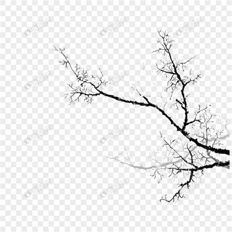 树枝元素素材下载-正版素材401022348-摄图网