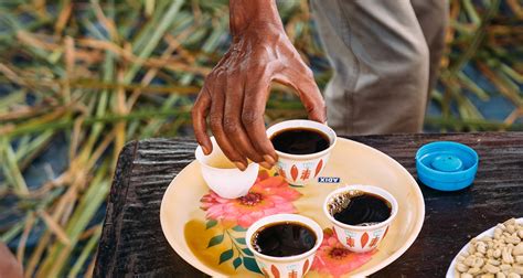 Guji coffee: Everything you need to know - Trabocca